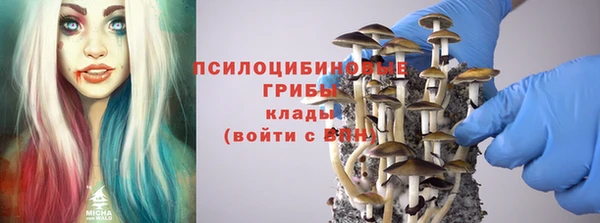эйфоретик Баксан