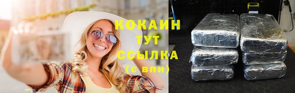 эйфоретик Баксан
